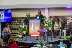 LALL_Apr09_25-8184